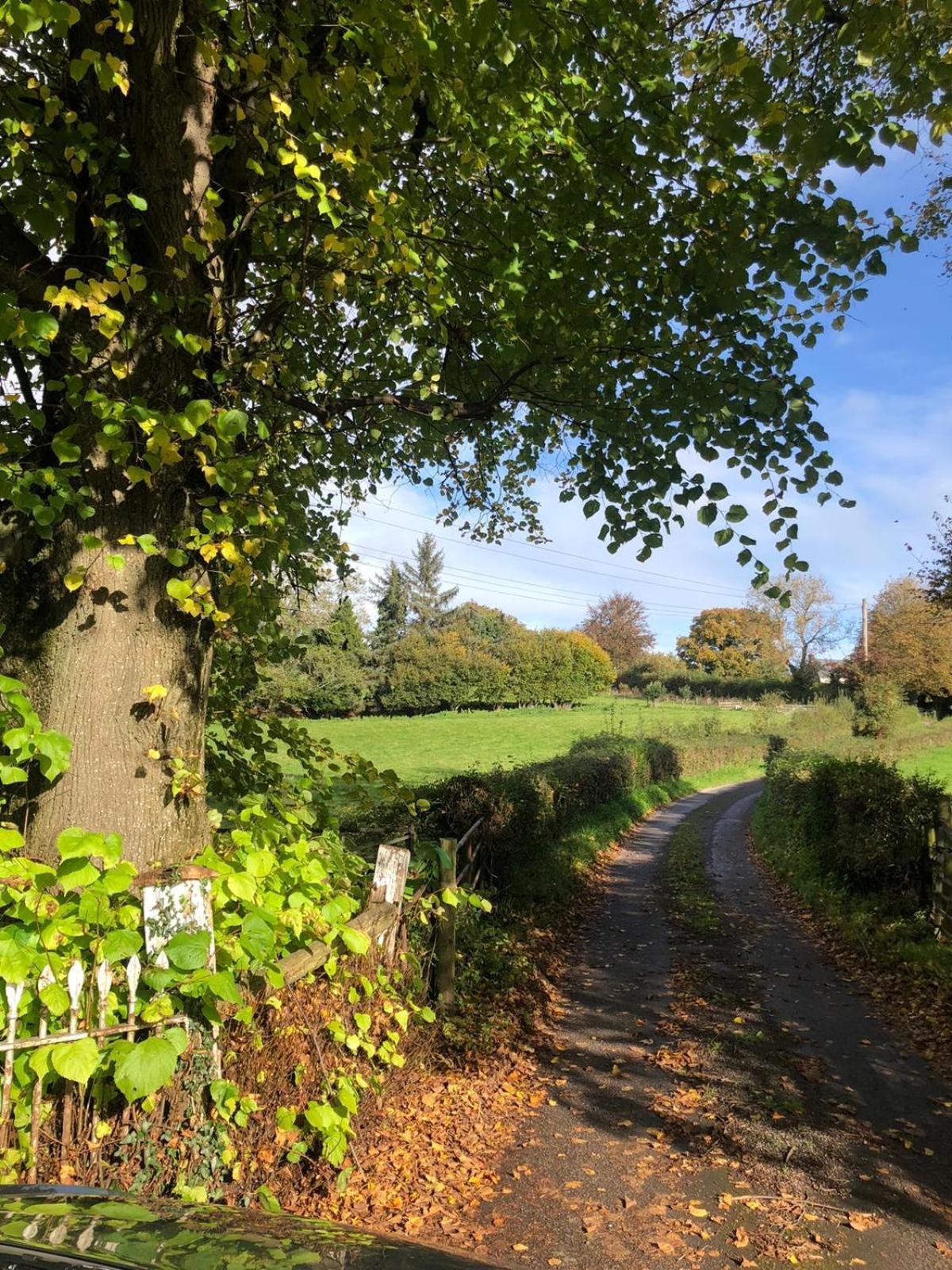 The Cottage Abergavenny Dış mekan fotoğraf